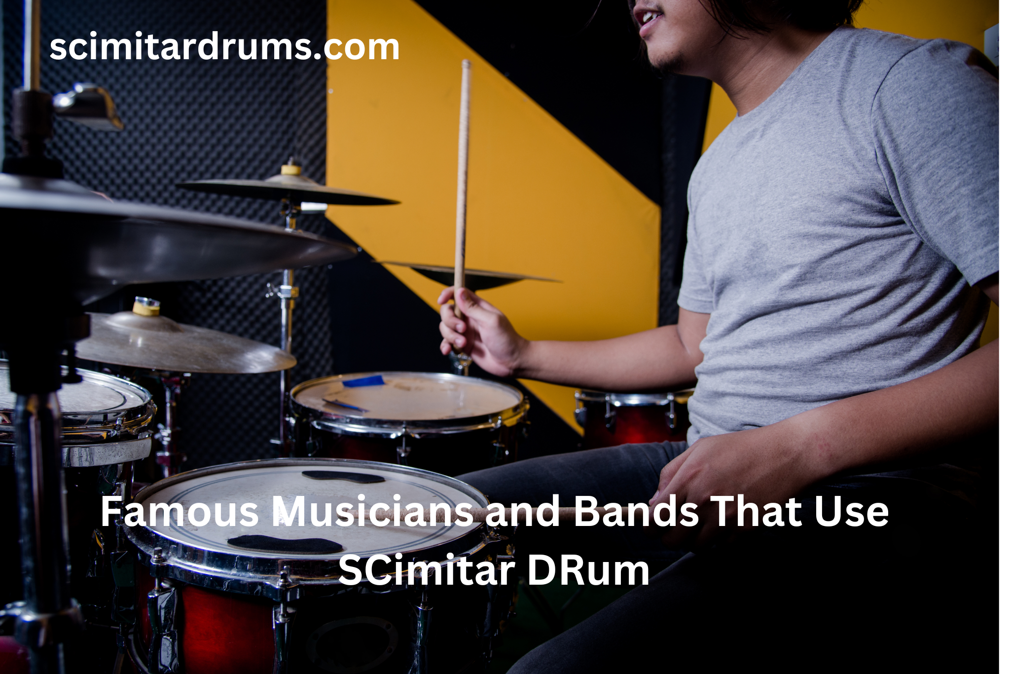 Famous Musicians and Bands That Use SCimitar DRum